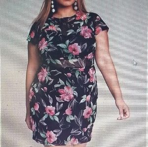 Charlotte Russe NWT dress